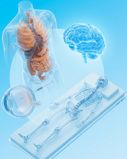 Medical & Healthcare Visualization
